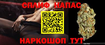 mdpv Дубна